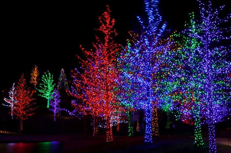 Holiday Light Installation