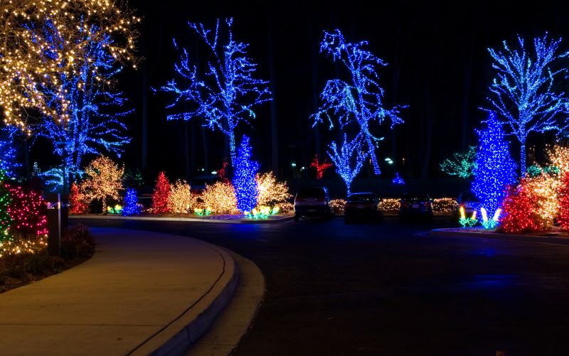 Exterior House Lighting